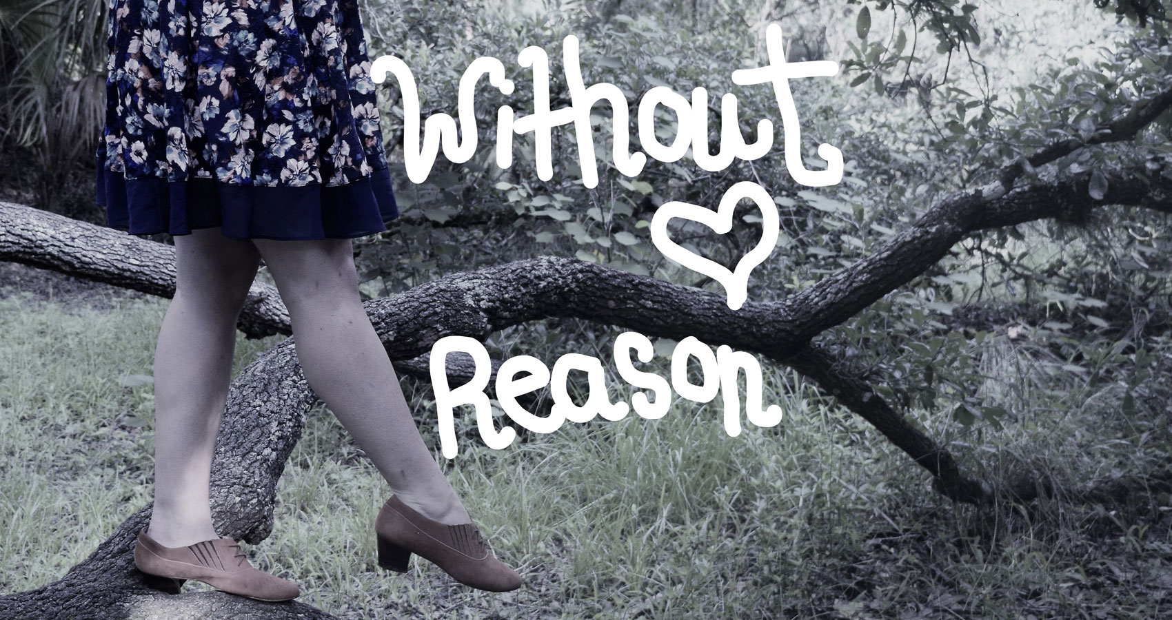 Without Reason series by Alyssa Brocker at Spillwords.com