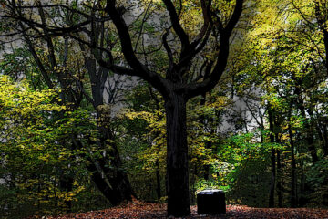 Bewitched at Spillwords.com