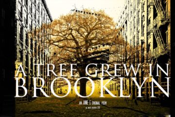 spillwords.com a Tree Grew In Brooklyn by Anne G