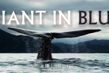 spillwords.com Giant In Blue by Anne G