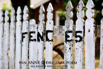 Fences An Anne G Original Poem at spillwords.com political politics