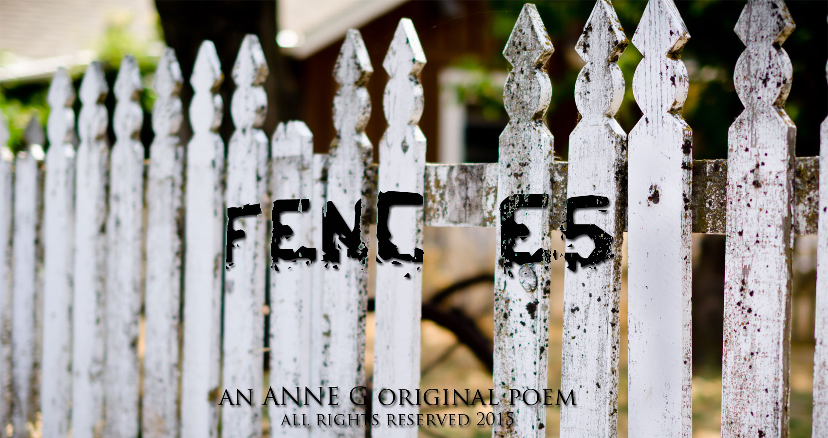 Fences An Anne G Original Poem at spillwords.com political politics