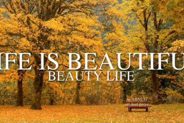 spillwords.com Life Is Beautiful Beauty Life by Anne G