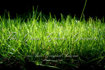 spillwords.com The Grass Is Greener An Anne G Original Anne-ism