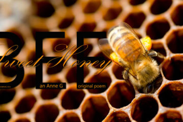 spillwords.com Sweet Honey Bee by Anne G