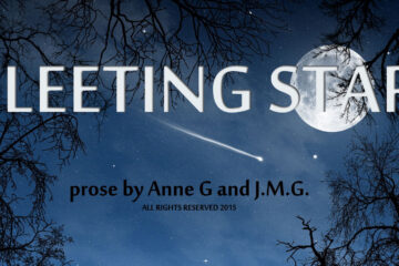 Fleeting Star at Spillwords.com