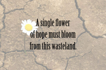 A Single Flower at Spillwords.com