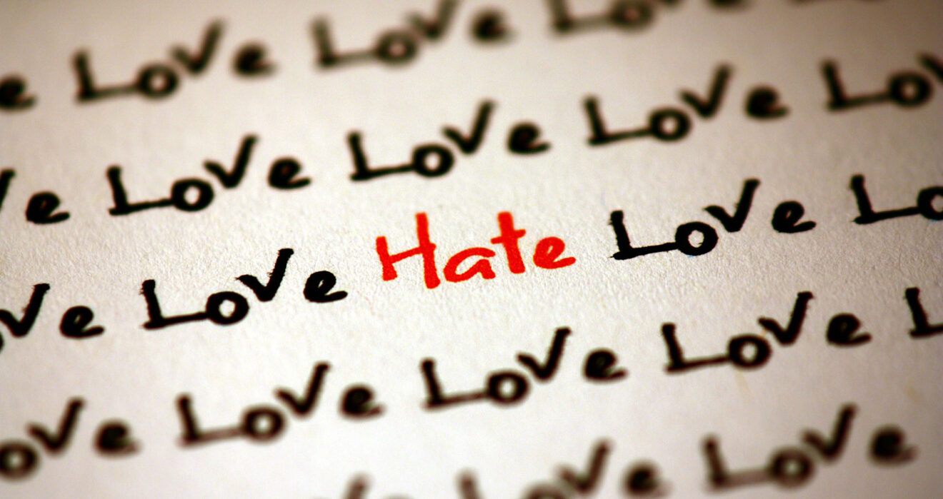 I HATE YOU SYNONYM visual data 4