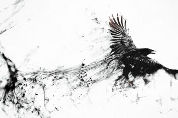 Quivering Quill at Spillwords.com