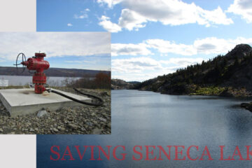 Saving Seneca Lake at Spillwords.com