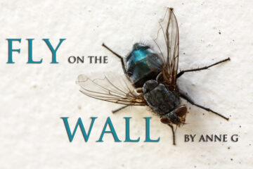 Fly on the Wall by Anne G at Spillwords.com