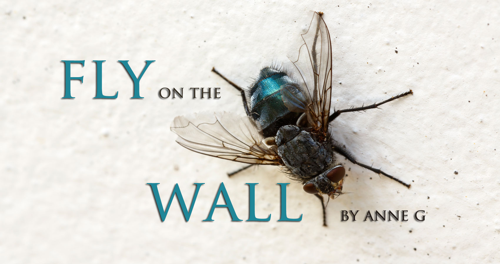 On the wall. Fly on the Wall. 1985 - Fly on the Wall. Идиома Fly on the Wall. Fly on the Wall флаер.