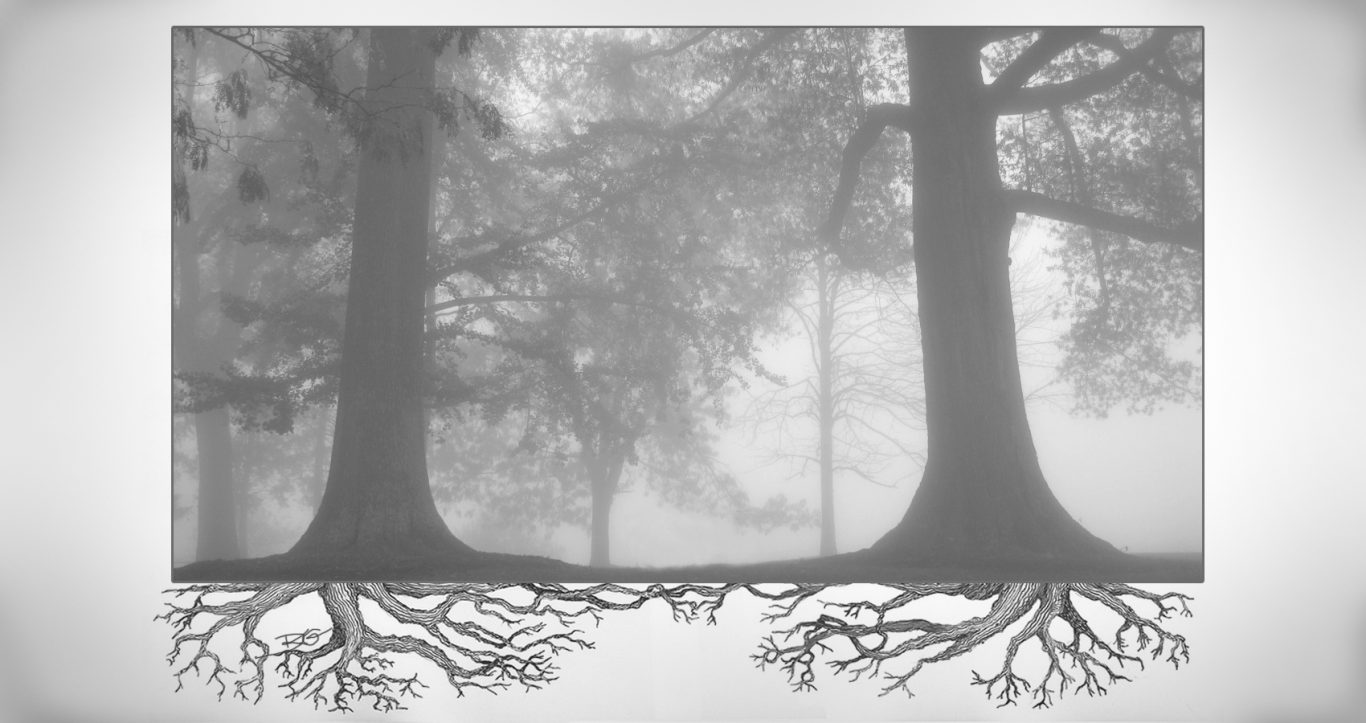 Friendship by Henry David Thoreau at Spillwords com