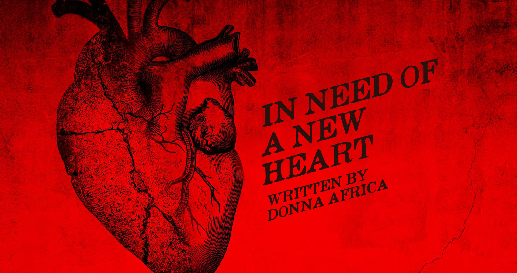 In Need Of A New Heart, by Donna Africa at Spillwords.com