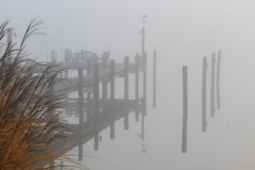 Fog, by Carl Sandburg at Spillwords.com