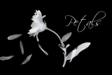 Petals, written by Steven Anton Butler at Spillwords.com