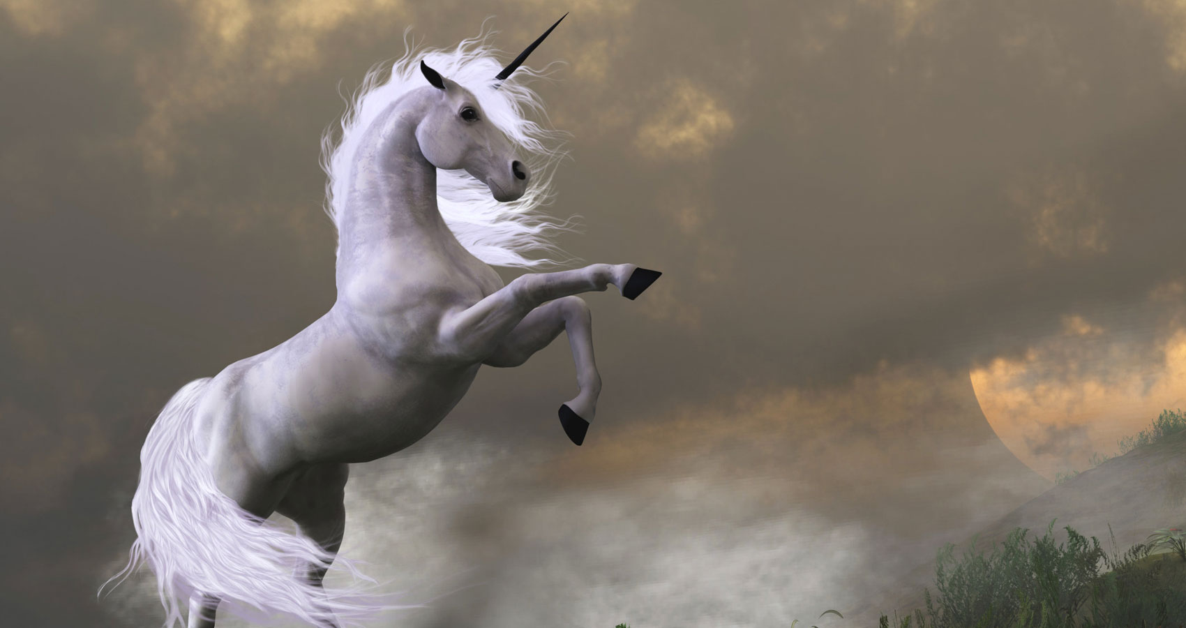 Unicorn written by Rania M M Watts at Spillwords.com