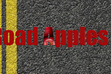 Road Apples written by Gavin Haycock at Spillwords.com