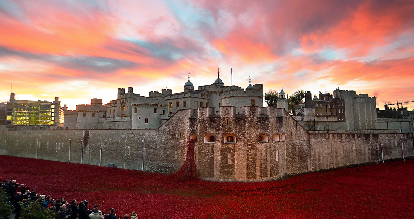 A pause on armistice day by Ian Thompson at Spillwords.com