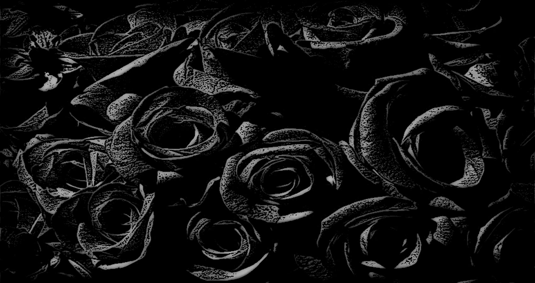 Black Roses written by Peter Owen at Spillwords.com