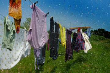 The Washing by Barbara Turney Wieland at Spillwords.com