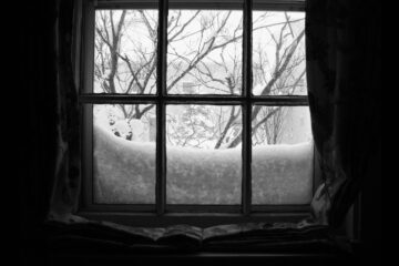 A February view from my window written by Arusha Topazzini at Spillwords.com