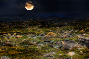 On the Tundra (for M.B. and H.K.) written by ilex fenusova at Spillwords.com