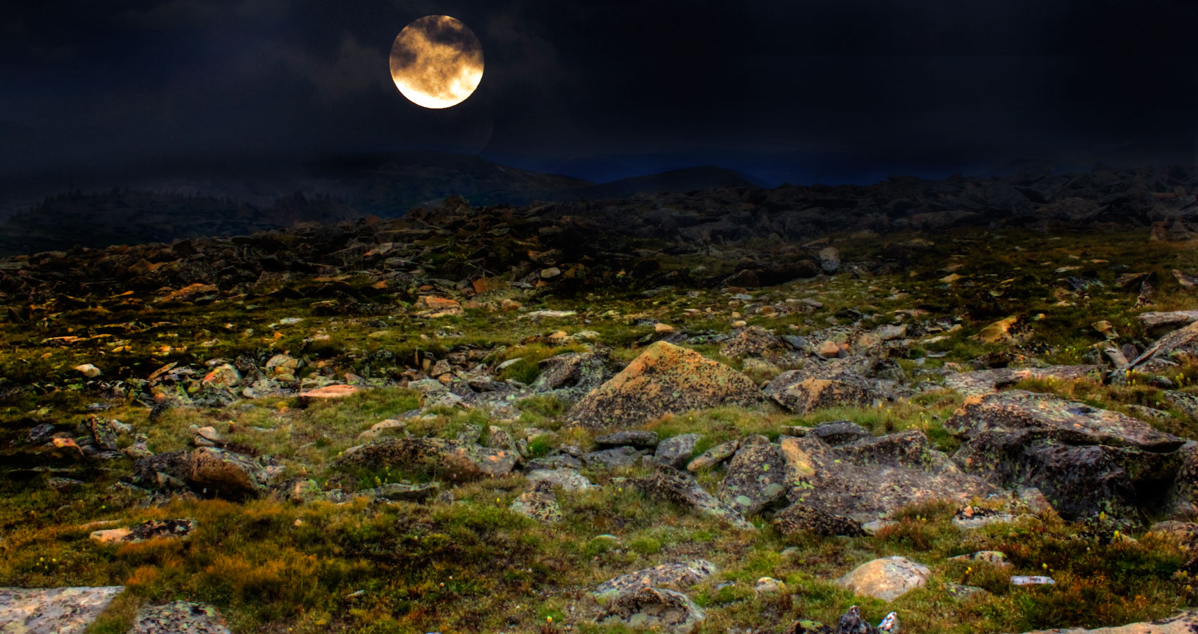 On the Tundra (for M.B. and H.K.) written by ilex fenusova at Spillwords.com