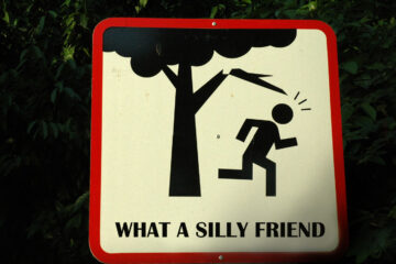 What a Silly Friend written by Mr Fun at Spillwords.com