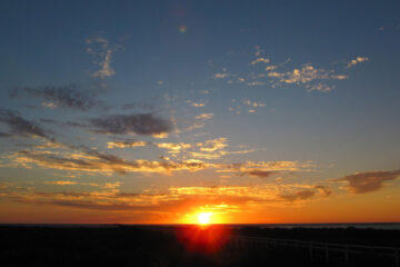 A True Account Of Talking To The Sun On Fire Island by Frank O'Hara at Spillwords.com