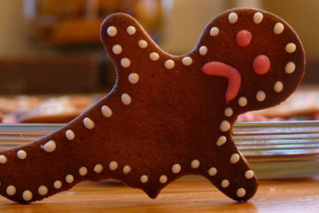 Gingerbread Man written by Lana Wesley at Spillwords.com