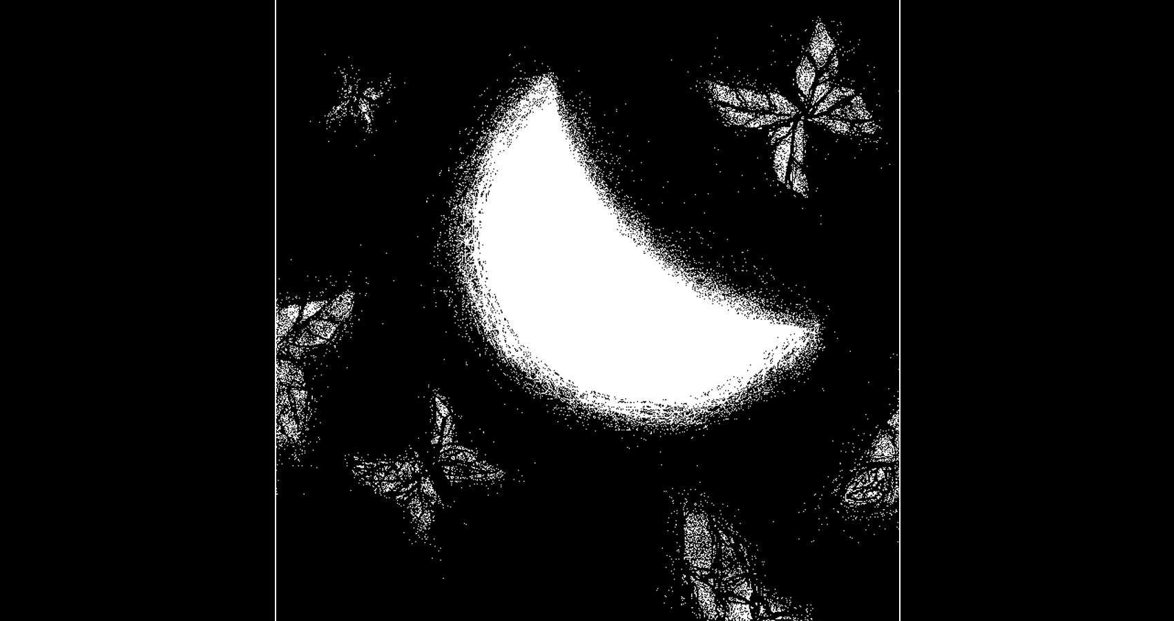 Last Half of Moonlight by Robyn MacKinnon at Spillwords.com