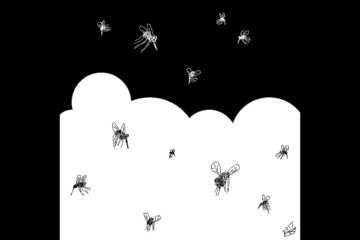 Snow and Mosquitos by Robyn MacKinnon at Spillwords.com