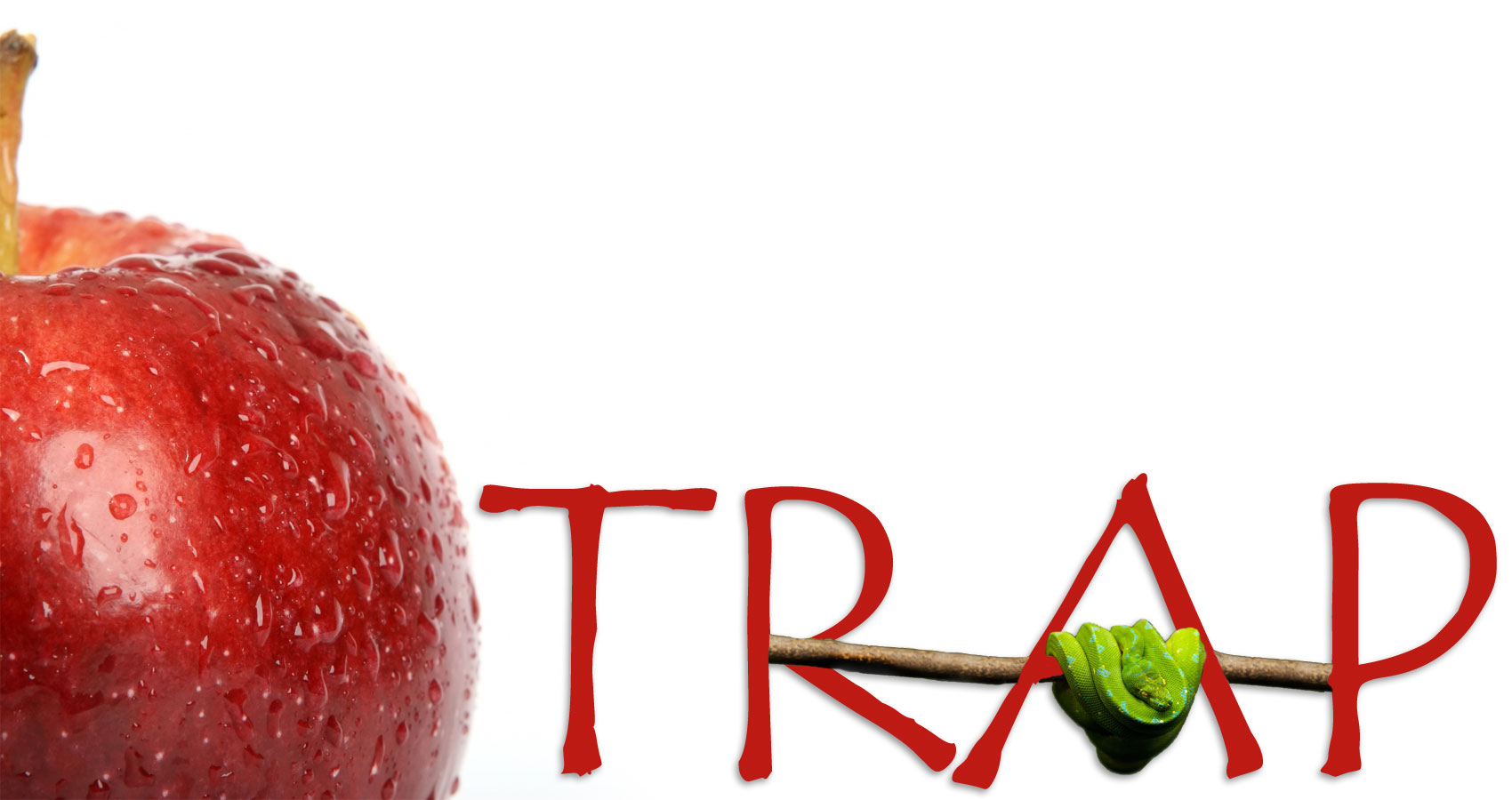 The apple trap written by Poetanp at Spillwords.com