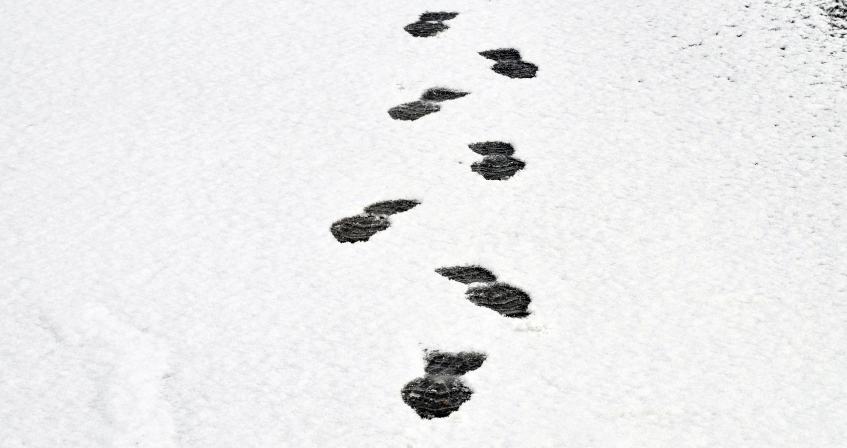 A Walk In The Snow written by Gina at Spillwords.com