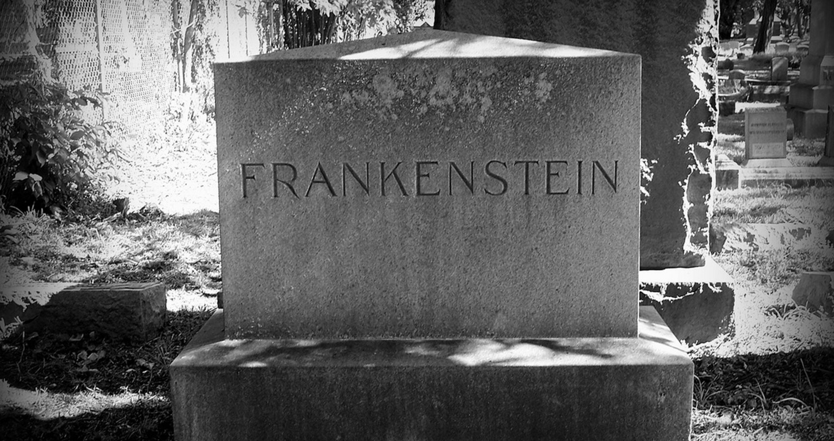 Frankenstein, His Monster, Grave-Robbers and Anatomists, written by Stanley Wilkin at Spillwords.com
