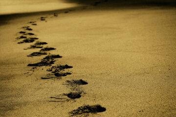 Footprints, a poem written by Shade at Spillwords.com