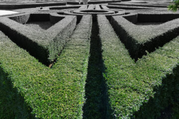 Mystery & Maze... written by Jan Smith at Spillwords.com