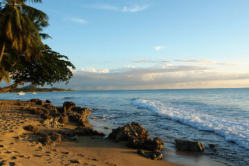 'Canto a Puerto Rico' Mi Borinquén by José A. Gómez at Spillwords.com