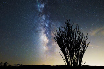 The Perseids by Aurora Kastanias at Spillwords.com