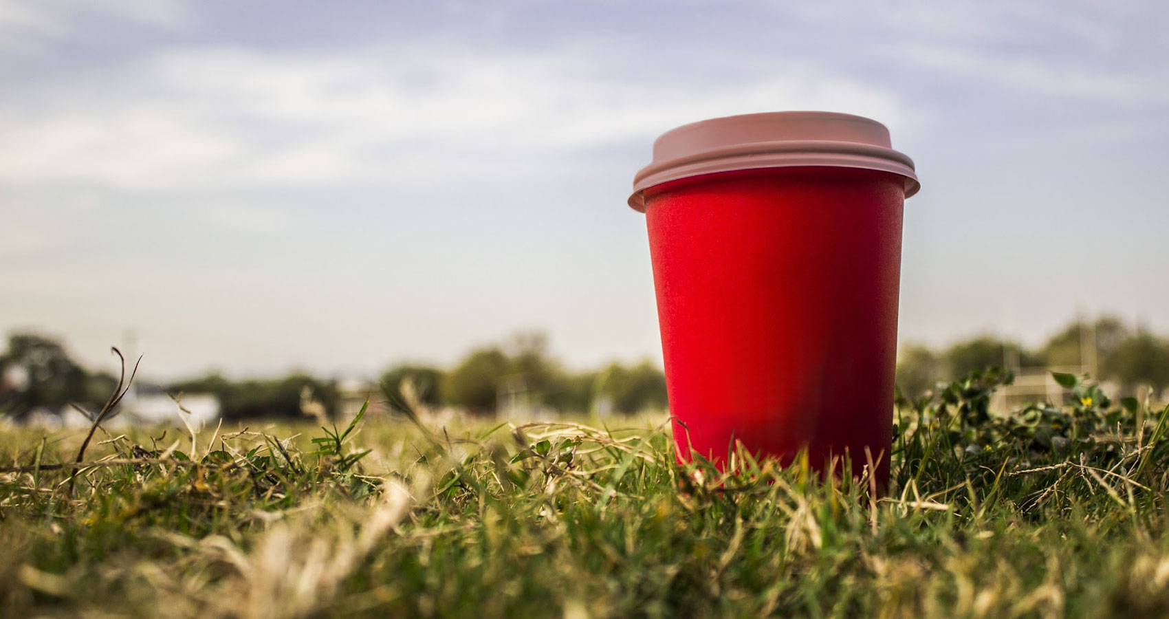 Red Cup written by Dan Leicht at Spillwords.com