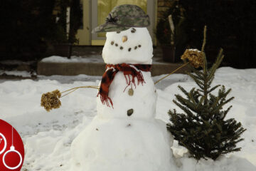 The Snowman written by James Gabriel at Spillwords.com