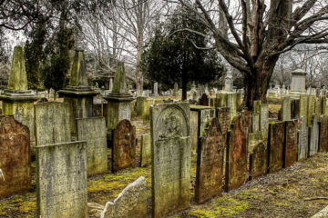 Lost In The Graveyard by Asad Mian at Spillwords.com