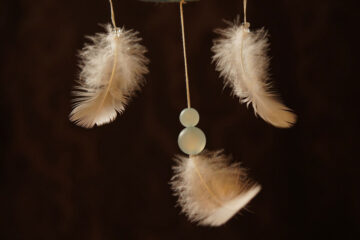 The Dream Catcher written by Sona Wilae at Spillwords.com