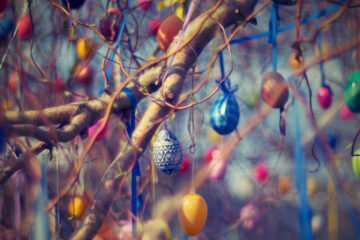 The Easter Egg Hunt by Roger Turner at Spillwords.com