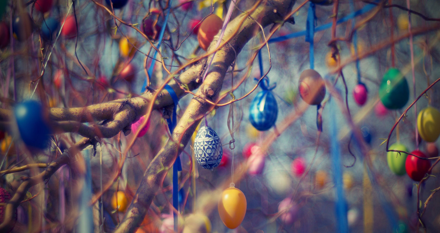 The Easter Egg Hunt by Roger Turner at Spillwords.com