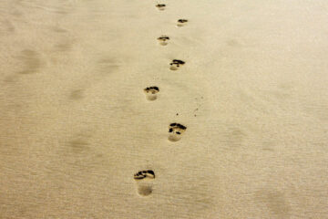 Footsteps, poetry written by Camille at Spillwords.com