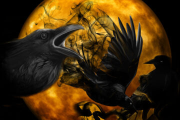 War Of The Crows written by TM Arko at Spillwords.com