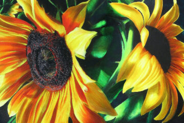 Sunflowers, a poem written by Eliza Segiet at Spillwords.com