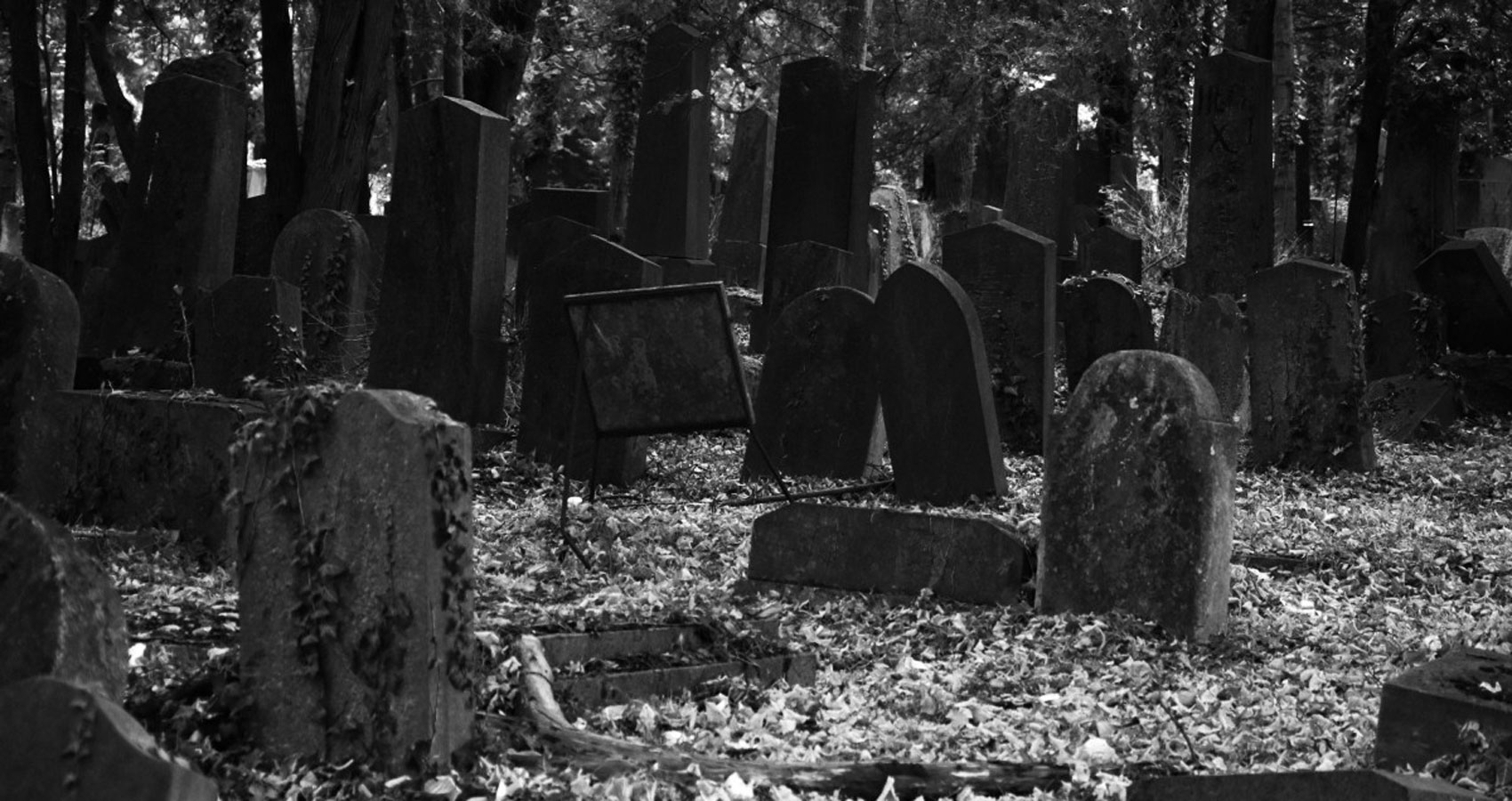 Grave, a poem written by Jack Wolfe Frost at Spillwords.com